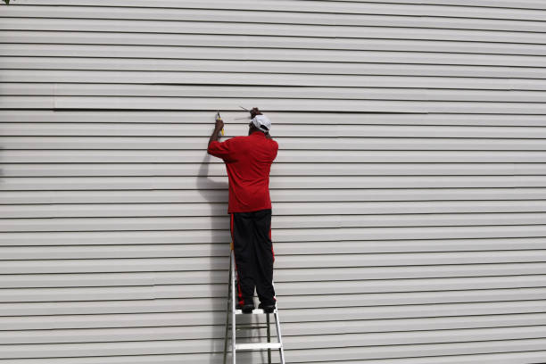 Best Custom Trim and Detailing for Siding  in Middletown, VA